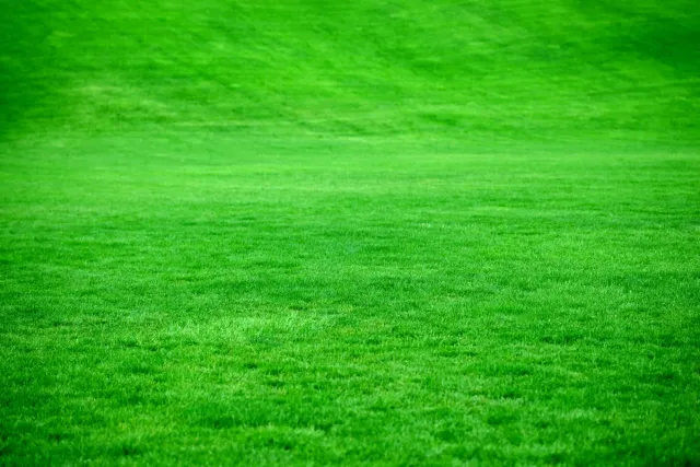 work photo from care4lawns.com