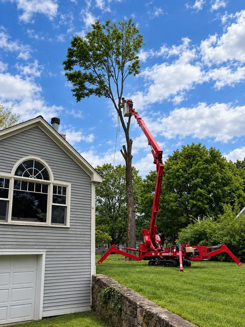 A&J Green Acres Tree work photo