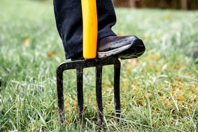 work photo from proturfsvc.com