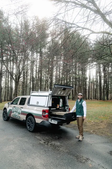 Eastern Pine Pest Control