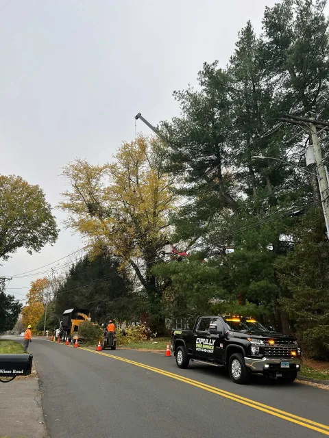 tree trimming crew on a road with a boom lift