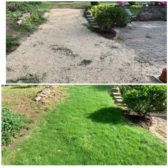 work photo from lattanziolandscaping.com