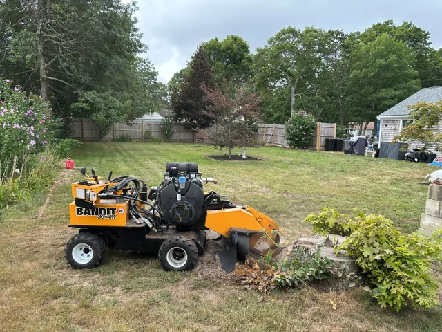 Cape Stump Grinding work photo