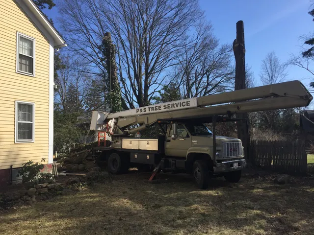 P & S TREE SERVICE work photo