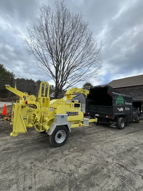 Forrest Glen Tree Care Professional LLC work photo