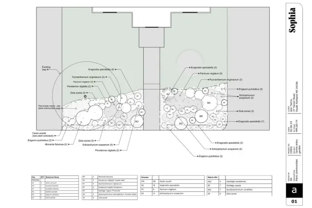 Landscape design plan labeled with various plant species, including Monarda fistulosa, Eragrostis spectabilis, and Penstemon digitalis. Includes existing tree, part-shade marker, and a key with botanical names and quantities.