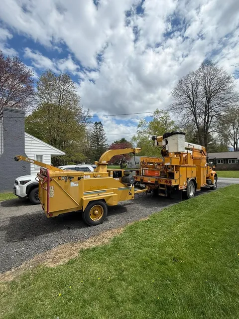 work photo from beavertreema.com