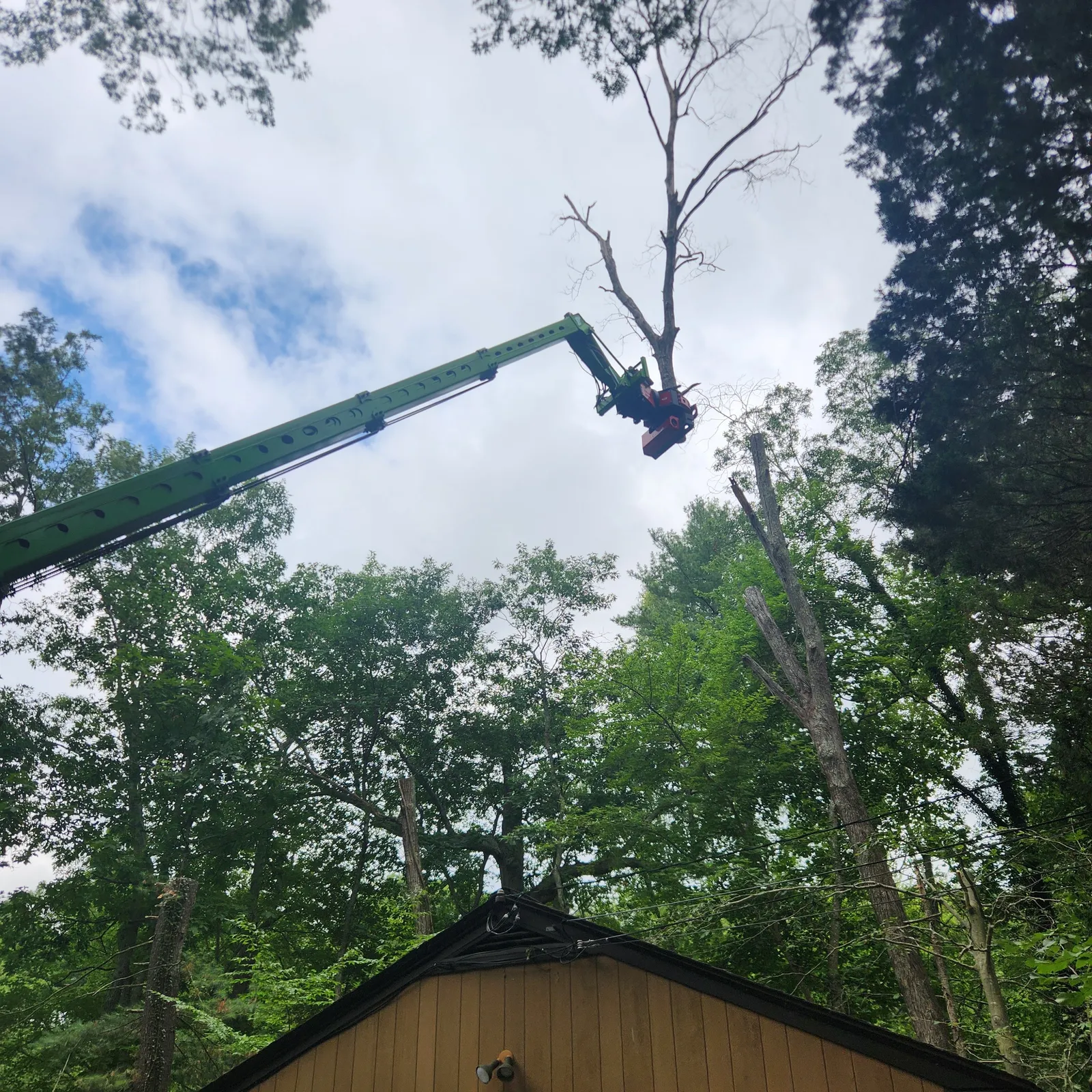 work photo from Google listing