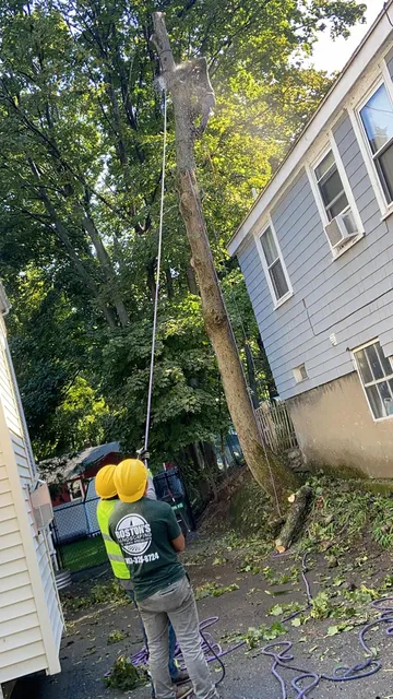 Boston Landscaping and Lawn Specialist work photo