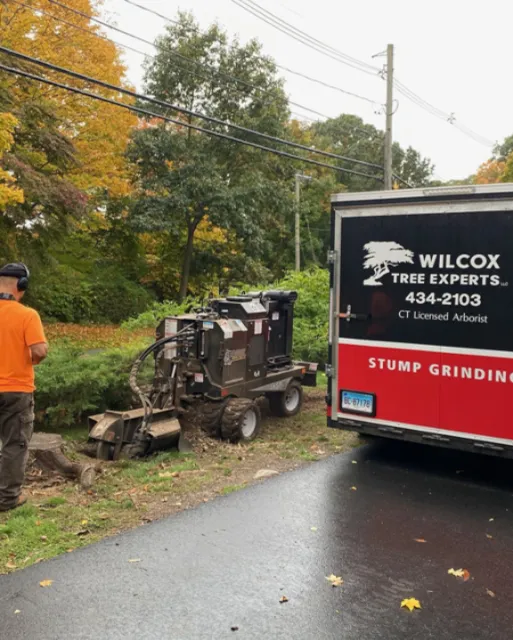 A truck with a stump grinding attachment operating near a curb on a residential street, with a worker standing nearby and trees with autumn foliage in the background.