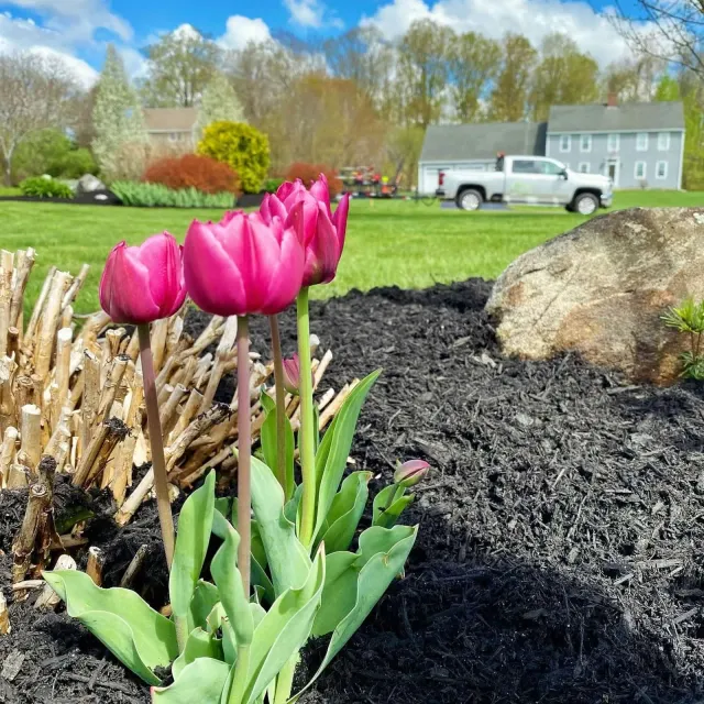 Affordable spring cleanup services near me – Duluth and Windham, ME