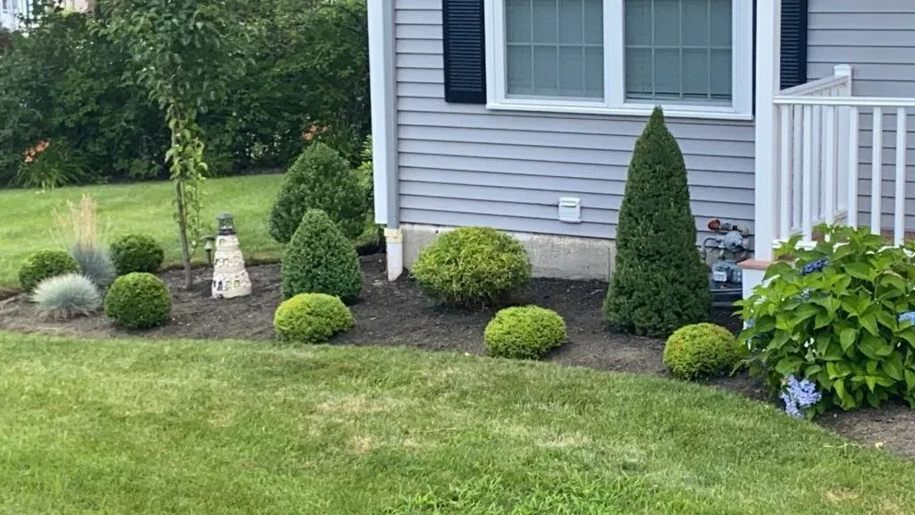 Pic 4.jpeg