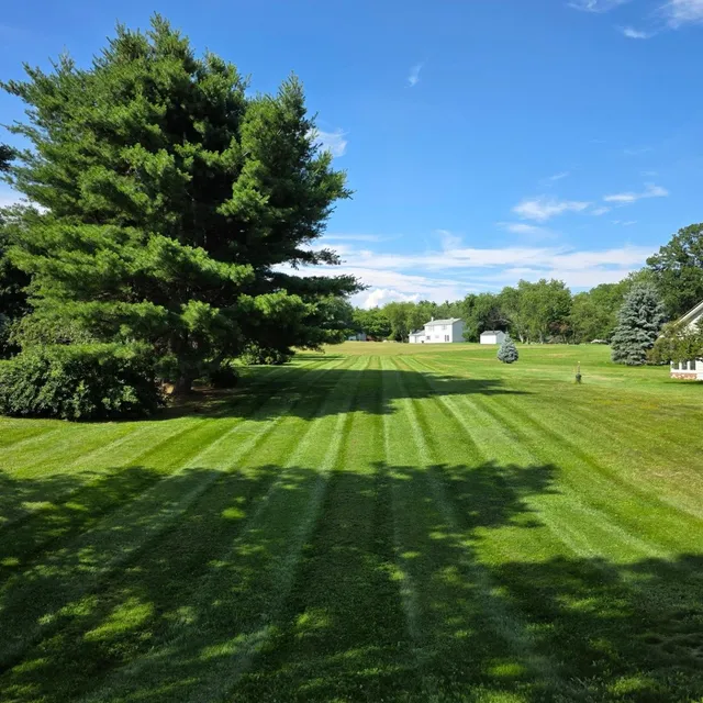 Beautiful day mowing around the lakes region. From Concord-Gilford and everything in between. 
#nhmowing #concordnh #gilfordnh #downtoearthlawncare #wrightstanderzk