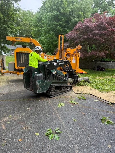 Oak Hill Tree Service LLC work photo