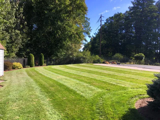The Whole 9 Yards Lawn Care work photo