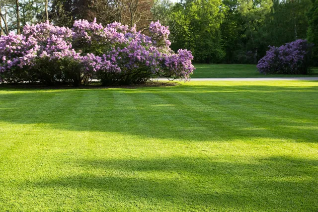 Gardner and Sons Landscaping work photo