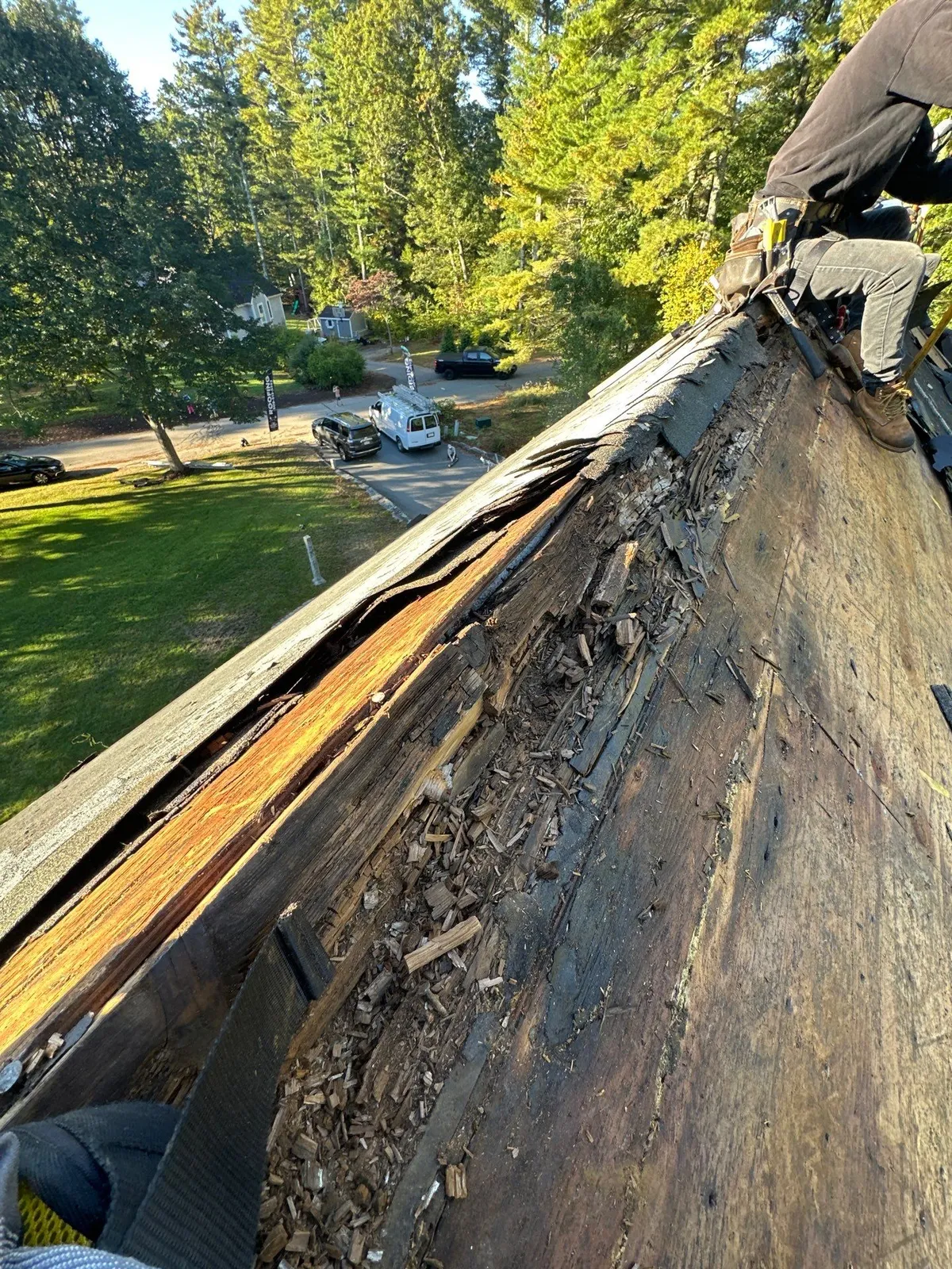 work photo from Google listing