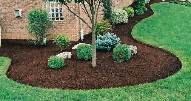 Steve's Lawn Care, Inc. work photo