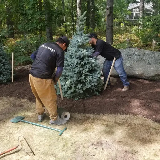 work photo from rilawncare.com