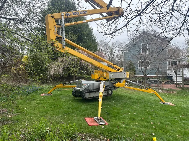 Tracked Lift being used to remove a storm damaged tree in
Florence