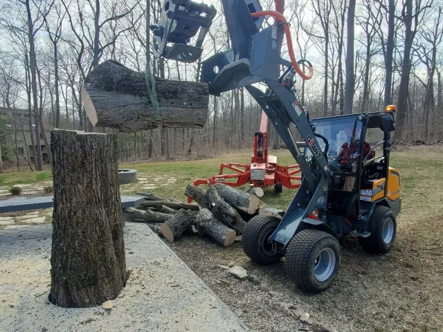 A small front-end loader lifting a large log in a backyard with trees in the background. There are cut logs and wood chips on the ground.