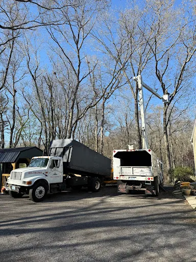 DeNoncour Tree Service work photo