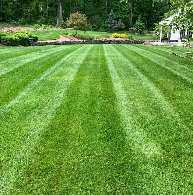 work photo from twinslawnservice.com