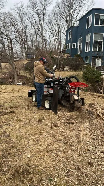 work photo from mjtreeservicesllc.com