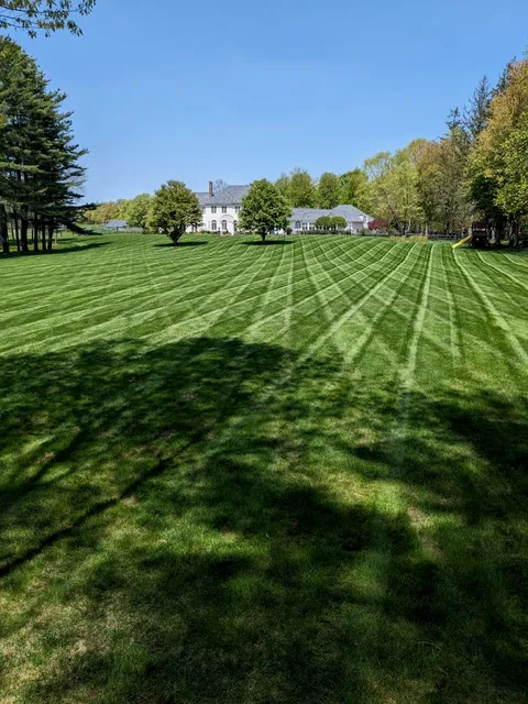 Wilson's Ground Maintenance work photo