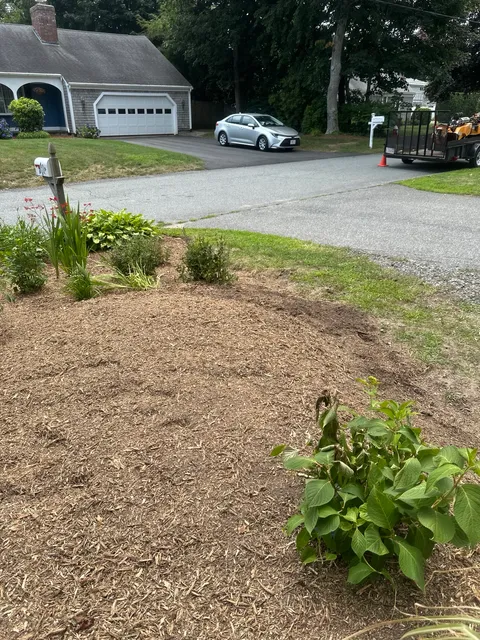Finished front yard after professional stump grinding on Cape Cod