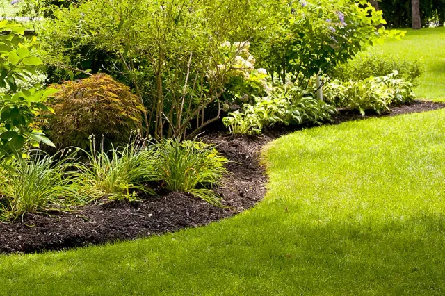 Garden design