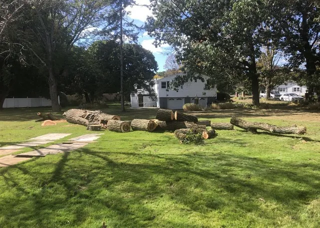 Darden Tree & Landscaping LLC