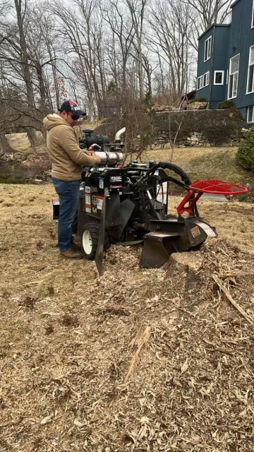 work photo from mjtreeservicesllc.com
