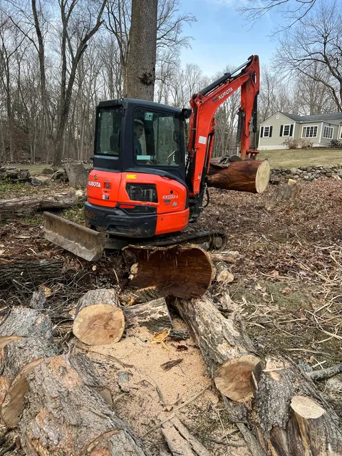 Ceciliano`S Tree Services LLC work photo