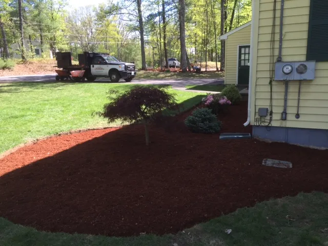 work photo from dalmatianlandscaping.com