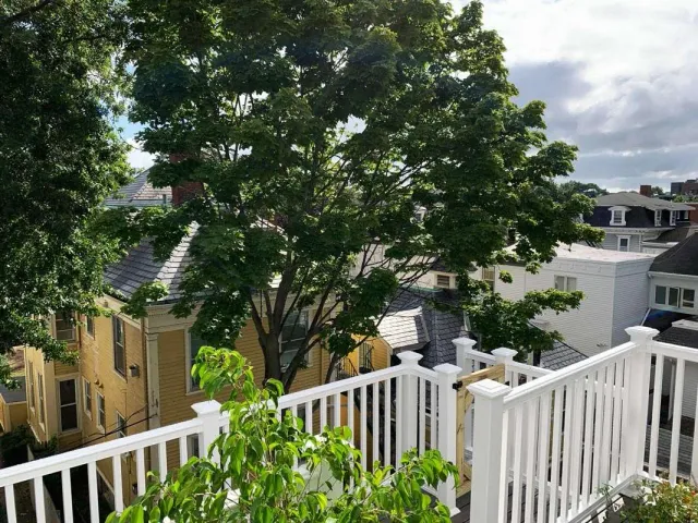 Cambridge Trex deck Design and build by Waze Development