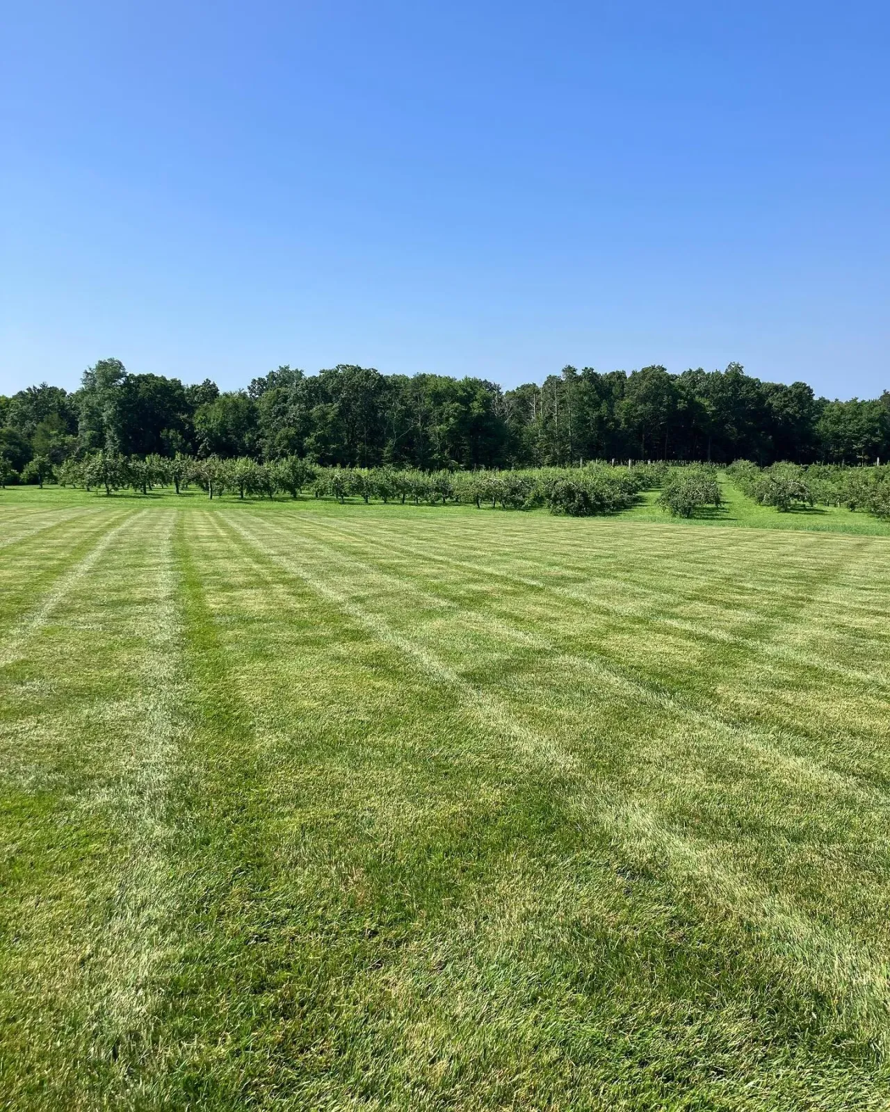 Hope everyone had a great fourth of July! The summer concert series is starting July 15th, 3-8pm we have a great lineup this year! Ice cream, food and beer. What more could someone ask for? 
#livemusic #IceCream #Batch #localfood #familyfun #appleorc