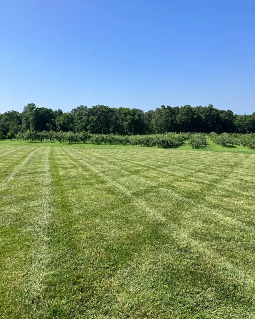 Hope everyone had a great fourth of July! The summer concert series is starting July 15th, 3-8pm we have a great lineup this year! Ice cream, food and beer. What more could someone ask for? 
#livemusic #IceCream #Batch #localfood #familyfun #appleorc