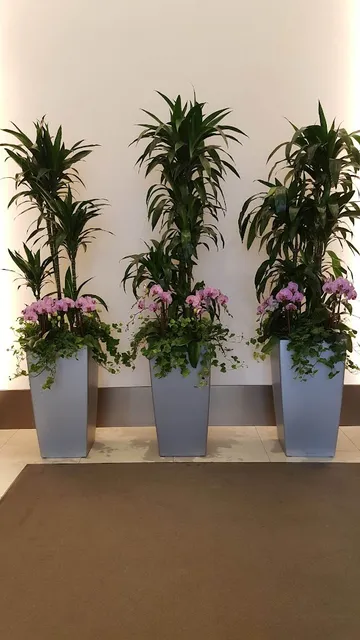 Evergreen Tropical Interiors, Inc. work photo