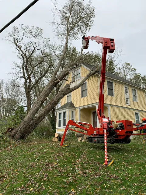 Storm damage