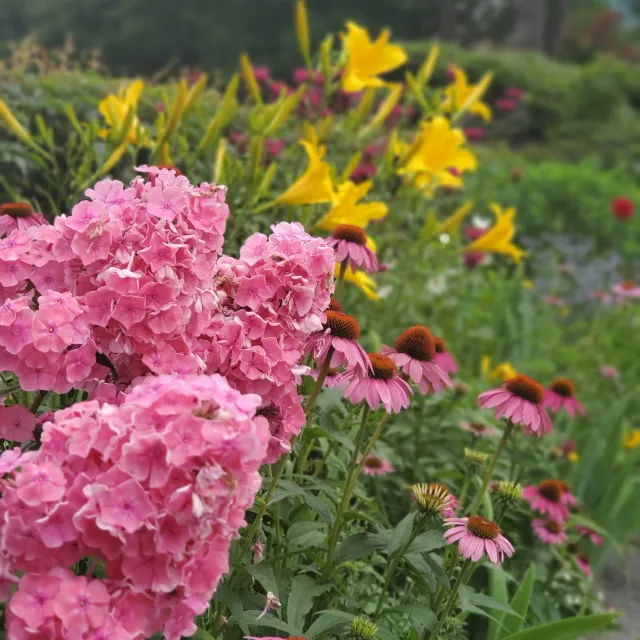 Sustainable landscape design in Northampton, Massachusetts