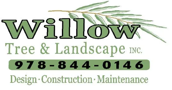 WILLOW TREE logo
