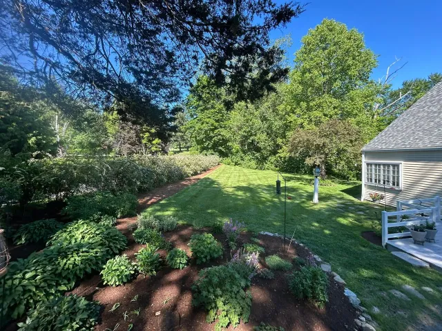 Sunny backyard with green lawn, shrubs, and large trees beside a house.