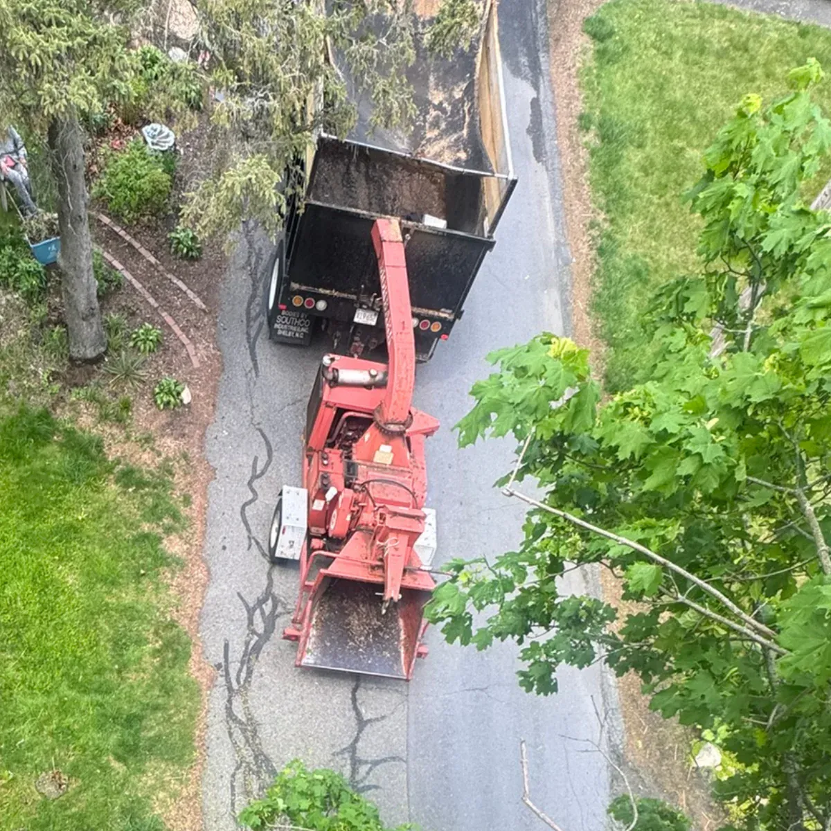 work photo from dovercountrytrees.com