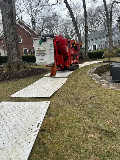 Sasa's Tree Care and Landscaping work photo