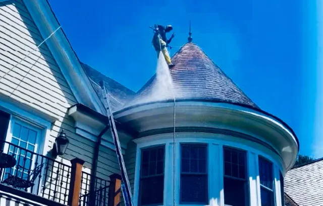 work photo from reyesroofingkings.com
