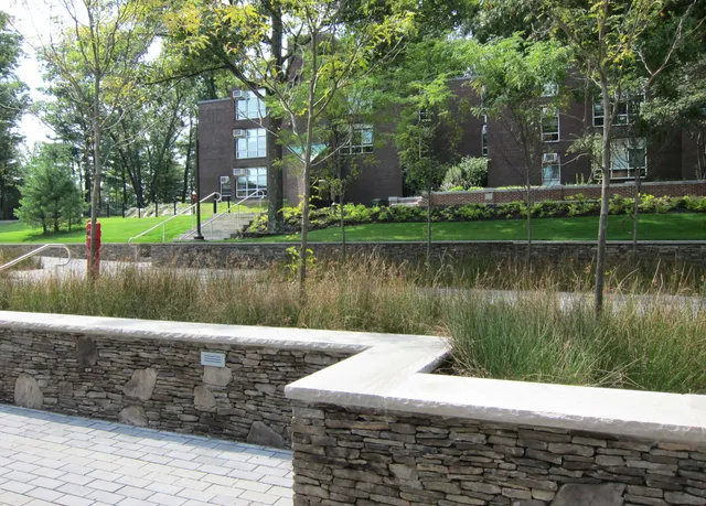 Babson College Portfolio Photo