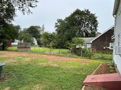 Wayne's Tree Removal work photo