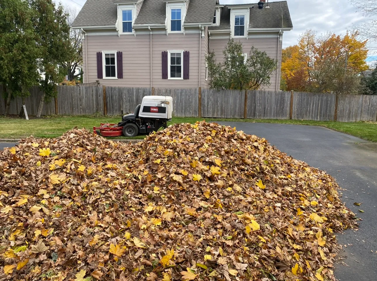 Reasam Landscaping & lawn Care Services Inc