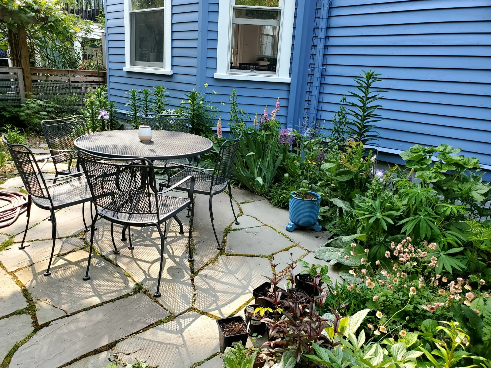 A backyard patio with a black metal table and four matching chairs, surrounded by green plants and flowering bushes, next to a blue house with two windows.